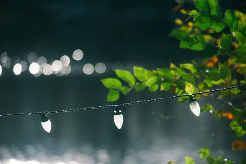 A line of water drops hanging from a wire