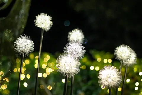 Dandelion stake lights