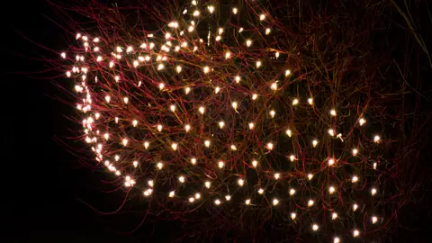 LED net lights in a bush