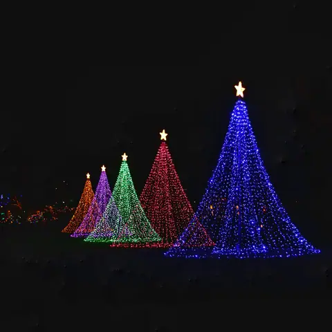 Light cone trees