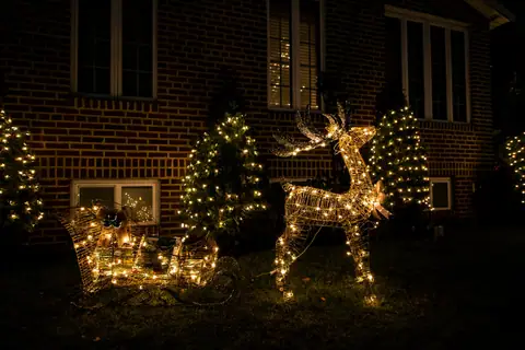 Lit reindeer and sleigh