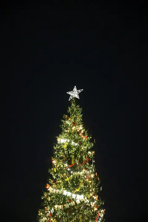 Large Christmas tree with a star on top