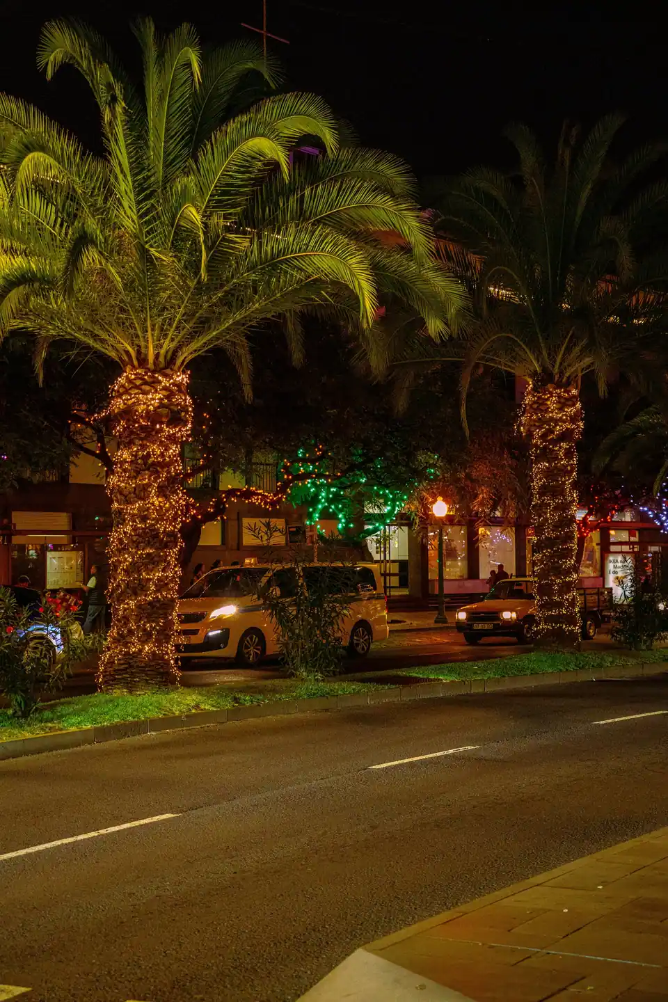 Two palm tree trunks wrapped tightly in warm white string lights along a street at night, fronds left unlit