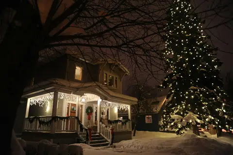 Pine tree covered in string lights beside a house