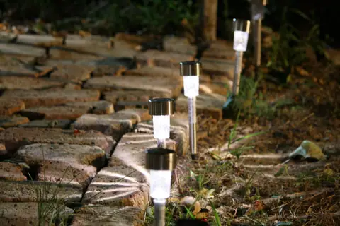 Garden pathway illuminated by solar lights at night