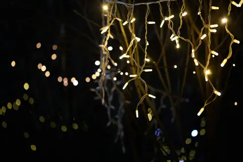 Twinkling yellow lights hang from branches at night