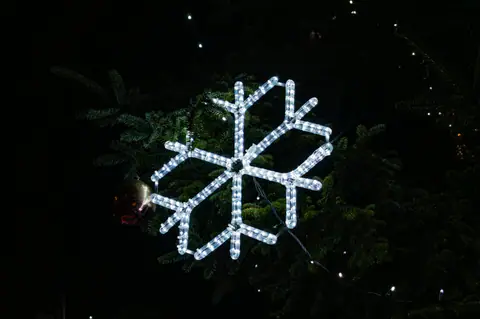 White LED snowflake on a fir tree at night